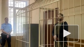 В Сочи вынесли приговор блогеру Лютому, чей ребенок умер от истощения