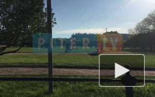 Петербуржцы вышли загорать на Марсовое поле