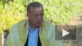 Эрдоган: Зеленский обеспокоен тем, что его много обманыв...