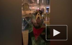 Видео: мужчина разбил дверь пиццерии на Загородном проспекте