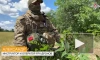 Минобороны сообщило о срыве ротации ВСУ под Донецком