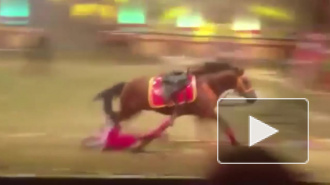 Видео смерти акробатки цирка под копытами лошади шокировало Интернет