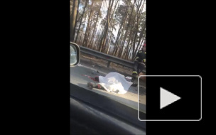 Мотоциклист погиб в аварии на Приморском шоссе