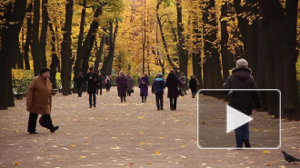 Дыхание Петербурга: самые интересные события недели 