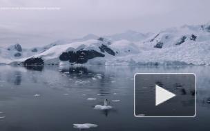 Японская экспедиция обнаружила горячую точку Восточной Антарктиды