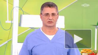Мясников назвал семь продуктов, позволяющих прожить до 100 лет