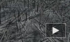 Последствия пожара в Чернобыле сняли на видео с дрона 