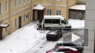 Петербуржцев развеселили "воришки снега" на Смоленской улице