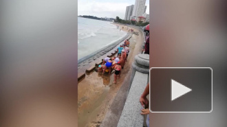 Петербуржец погиб во Вьетнаме, пытаясь спасти тонущего земляка