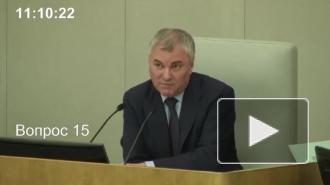  Володин призвал быстрее денонсировать налоговое соглашение с Нидерландами