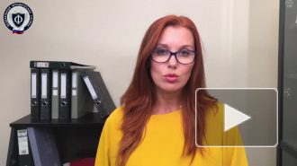 Россиян начнут штрафовать за лающих по ночам собак