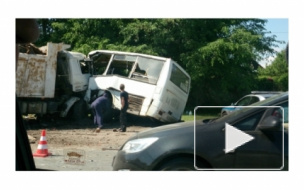  Стало известно, что в резонансном ДТП в Красном Селе погибла петербургская спортсменка