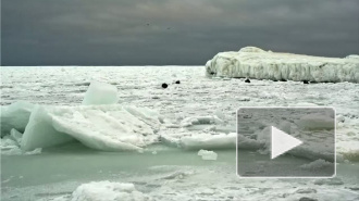 Замерзшее Черное море поражает фантастической красотой