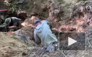 В Павловском парке найдены останки четырех красноармейцев