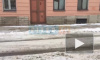 Житель Петербурга пожаловался на плохую уборку переулка Джамбула