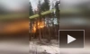 Сотрудники МЧС и пожарные ликвидировали открытое горение в месте разгерметизации газопровода в Ленобласти