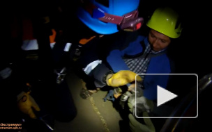 В Петербурге спасли ворону, которая застряла на 8 этаже 