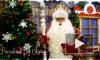 Дед Мороз и Йоулупукки поздравили жителей Выборгского района с Новым годом