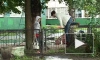 Петербургская школа утонула в грязи