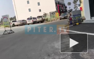 Из-за ураганного ветра в Пхёнчхане пострадало 16 человек