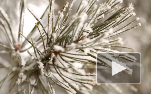 Миллер не согласился с прогнозом Гидрометцентра на зиму