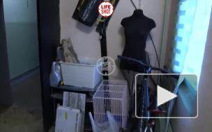 Скандал с Ксенией Милас: последние новости