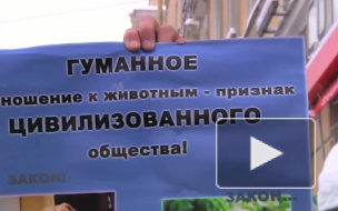 Требуют найти садистов. Защитники животных вышли на митинг