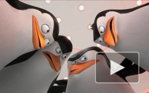 "Пингвины Мадагаскара" (Penguins of Madagascar): мультфильм от студии DreamWorks Animation вышел в прокат 