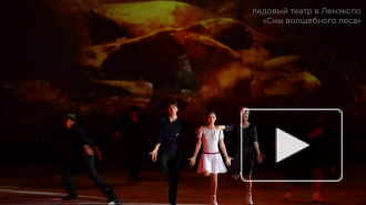 Шоу на льду "Сны Волшебного Леса"