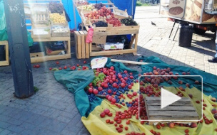 Участникам "русских зачисток" светит семь лет тюрьмы