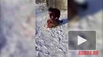 Полиция Приамурья начала проверку из-за видео с дракой студенток