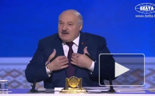 Лукашенко заявил, что не осуждает французские власти за задержание Дурова