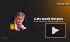 Песков: Россия надеется, что у Дурова есть все возможности для правовой защиты