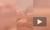 Пожар в омском Называевске уничтожил несколько десятков жилых домов 
