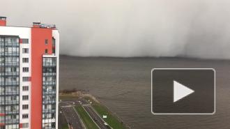 Петербуржцы заметили снежный шторм на Финском заливе