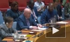 Небензя: присутствие представителя МУС в стенах Совбеза ООН не имеет смысла