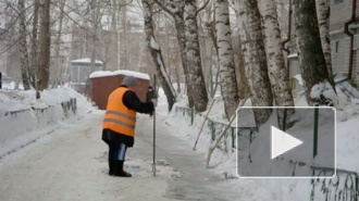НЛО похищает дворников Петербурга прямо из снегоуборочных машин