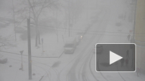Петербург накрыли весенние метели