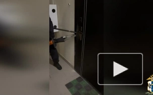 В Новосибирске полицией задержан подозреваемый в мошенничестве в сфере коммерческих закупок