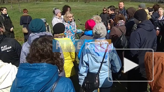 В Петербурге прошла акция "Народный щит Муринского парка"