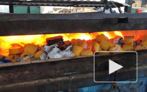 В Петербурге сожгли 65 килограммов санкционки