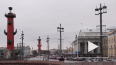 Пятницу в Петербурге испортит порывистый ветер