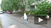 Пьяный петербуржец топлесс бросался мебелью из окна и сломал руку полицейскому на Ленской улице