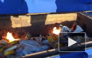 В Петербурге сожгли более 116 кг санкционного сыра и колбасы