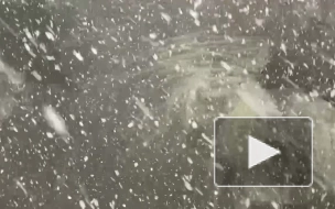 Росприроднадзор предупредил о снежуре на реке Фонтанке