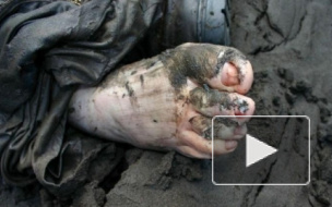 Пьяный мужчина с осколками стекла в спине утонул, пытаясь переплыть Неву