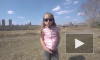 4-летняя блогерша обратилась к Басте с просьбой посадить дерево       