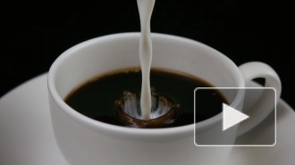 Ученые назвали напиток, который предотвращает старение 