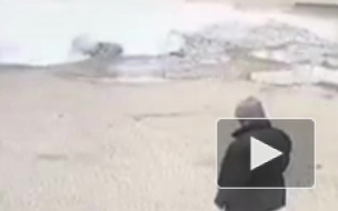 Опубликовано видео с моментом падения машины в яму с кипятком в Пензе