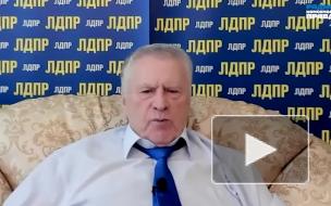 Жириновский порассуждал об уничтожении Германии